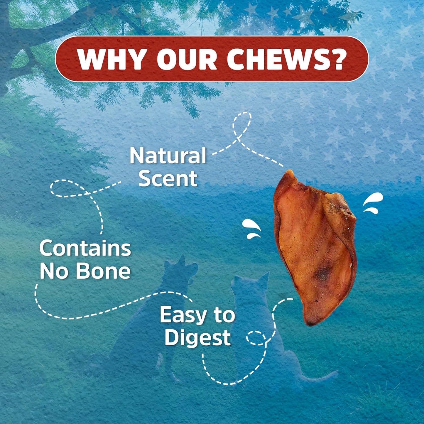 Stark Sticks Pig Ears for Dogs 100% Natural - Whole Pigs Ears, Single Ingredient Highly Digestible, 100% Pork Dog Chew Treats - Long Lasting, Great for Puppy and Medium/Large Dogs (10 Count)