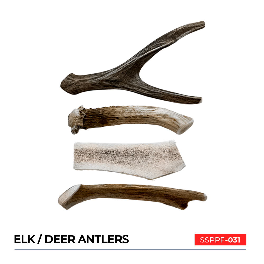 Elk / Deer Antlers