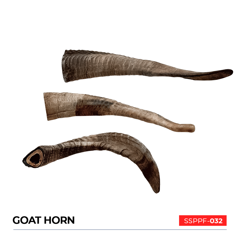 Goat Horn