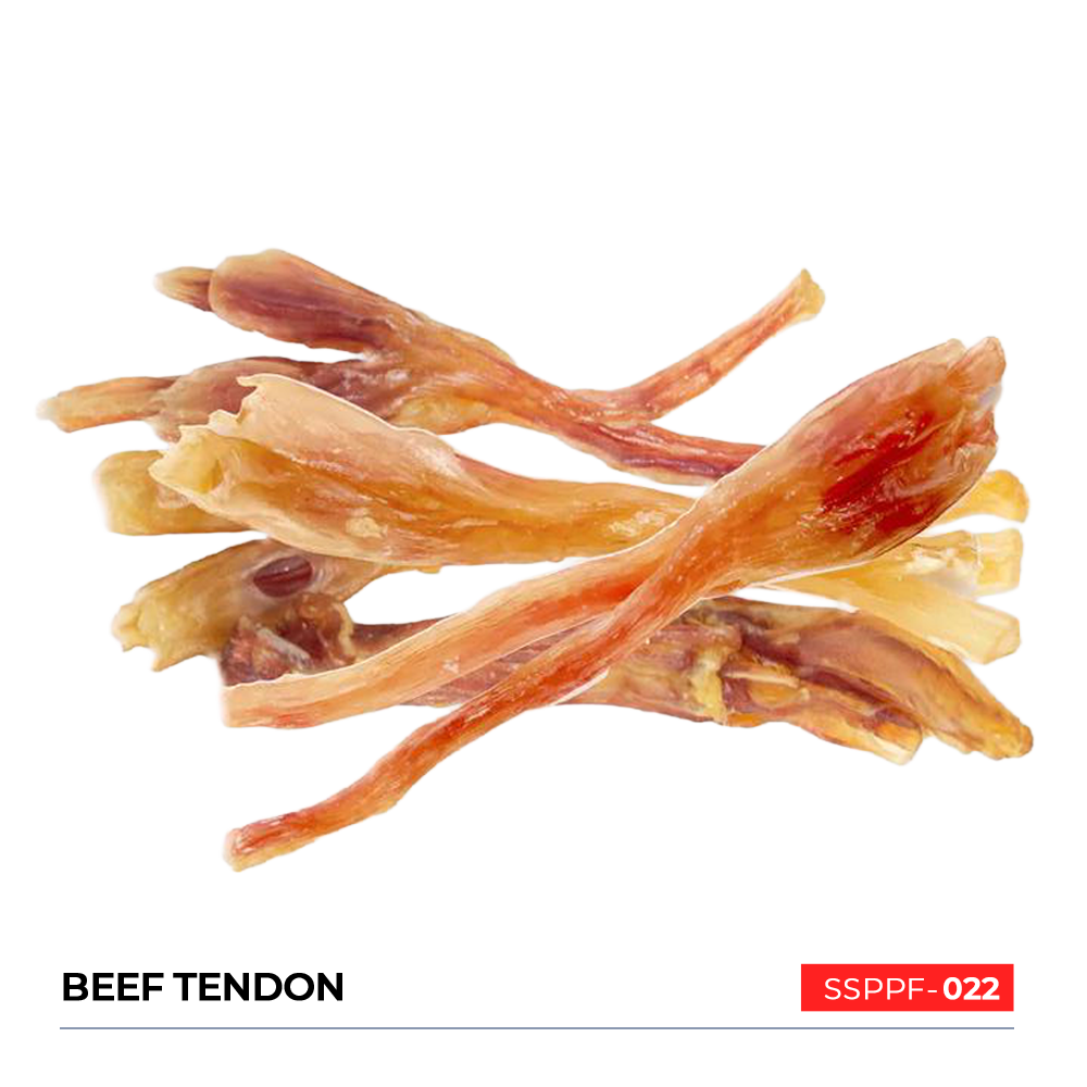 Beef Tendon