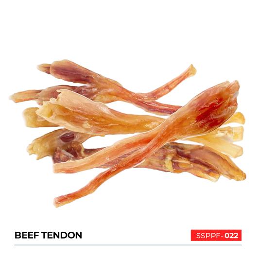 Beef Tendon