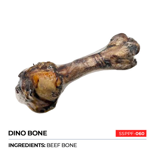 Dino Bone