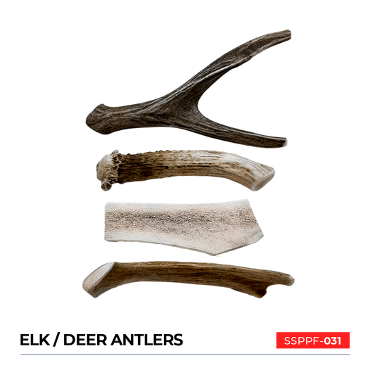 Elk / Deer Antlers