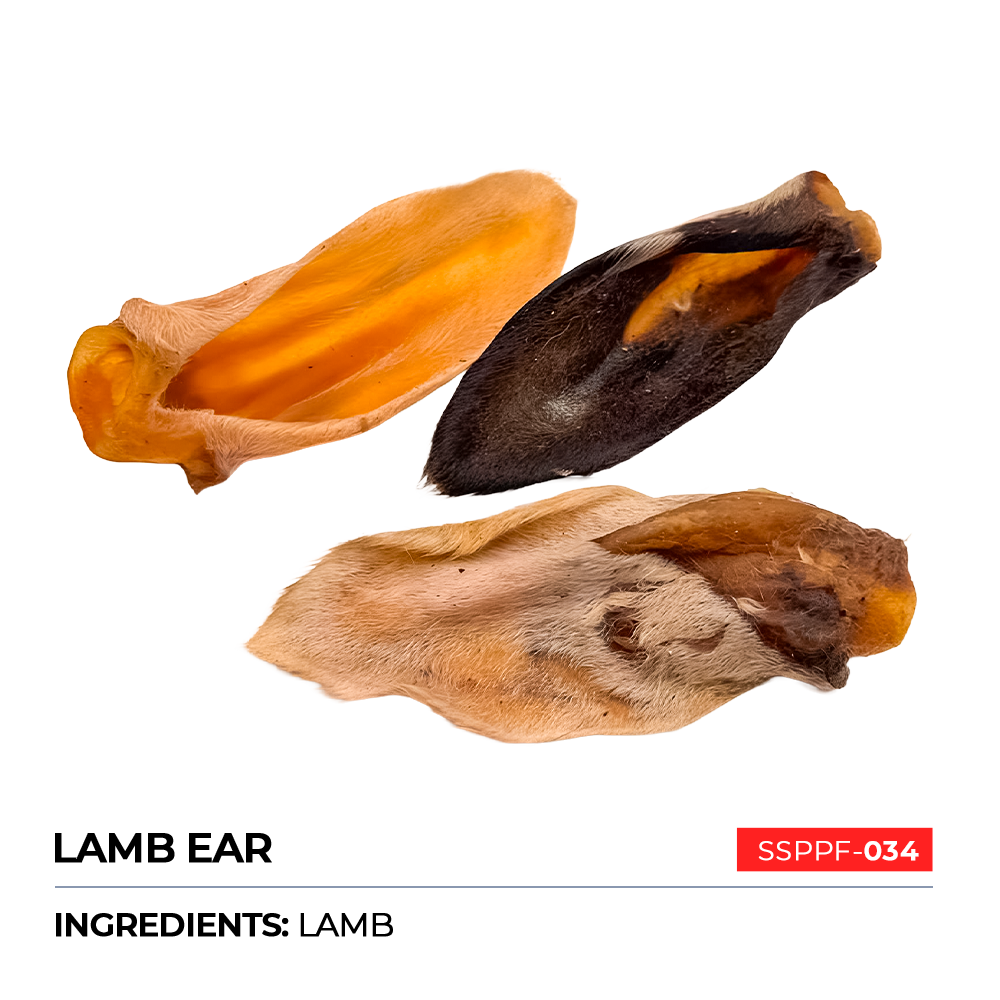Lamb Ear