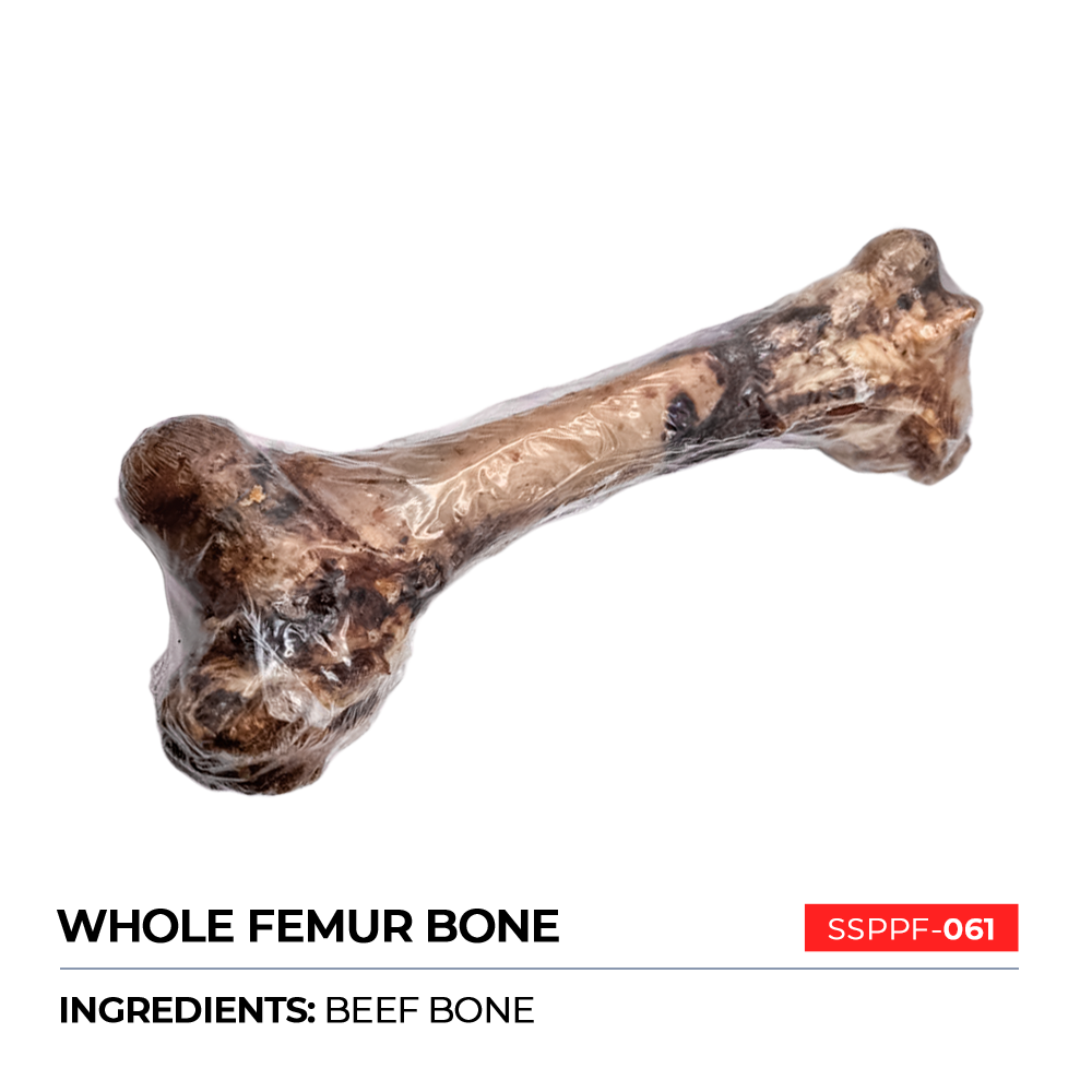 Whole Femur Bone