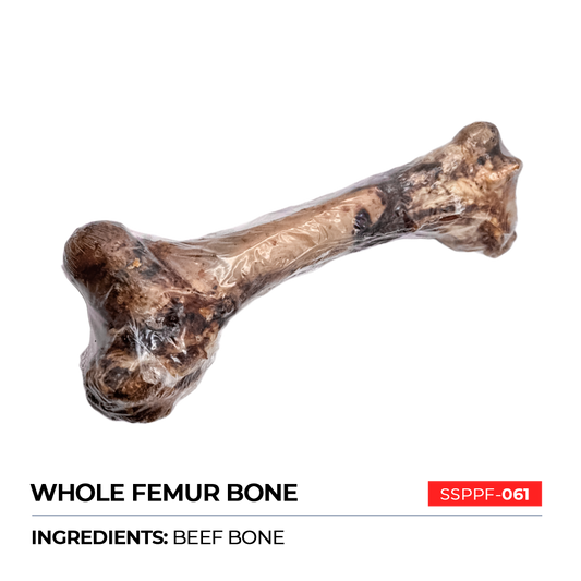 Whole Femur Bone