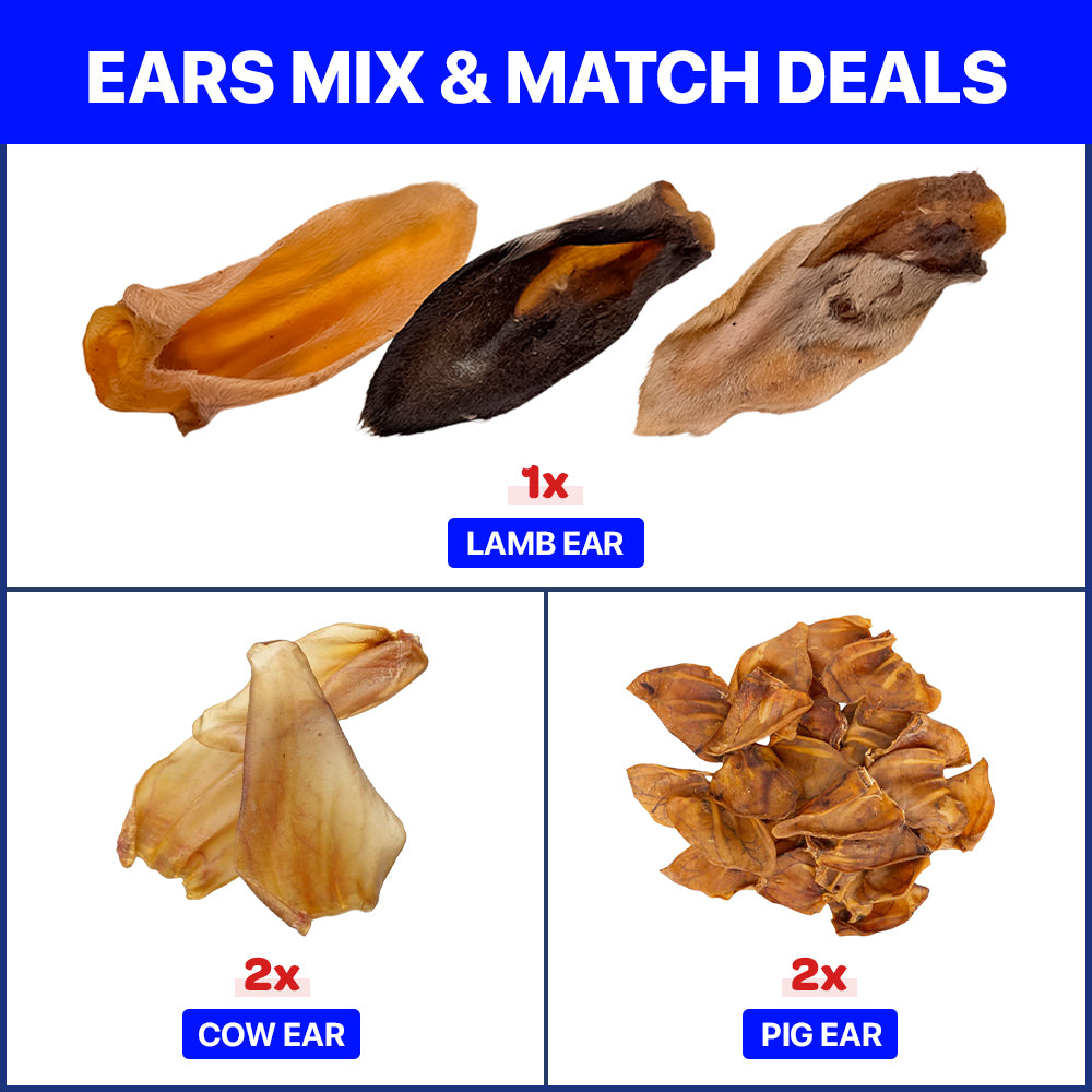 Ear Mix & Match Package 5 PCS