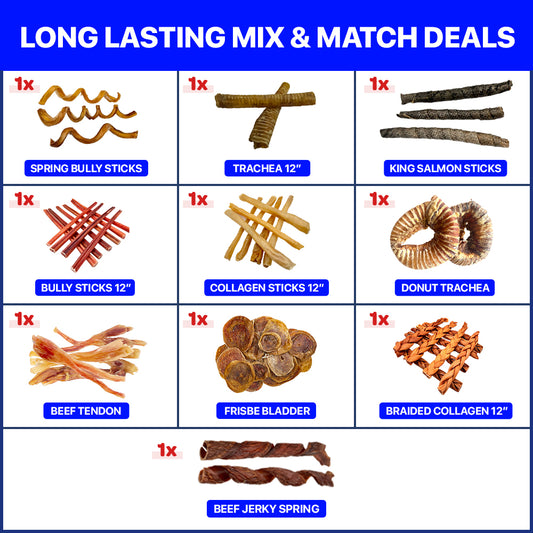 Long Lasting Mix & Match Package 10 PCS
